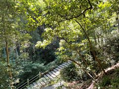 -韬光茶庵