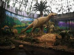 -中国西峡恐龙遗迹园
