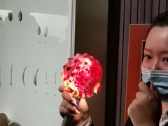 -青岛贝壳博物馆