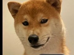 -董顺桃小粒臭豆腐(坡子街店)