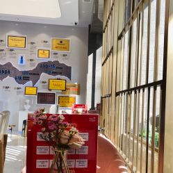 -云南吴氏嘉美医疗美容医院