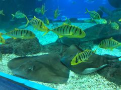 -福州罗源湾海洋世界旅游区