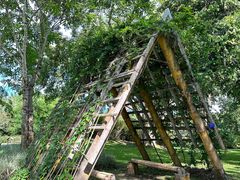-中国科学院西双版纳热带植物园