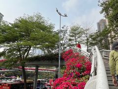 -二沙岛艺术公园