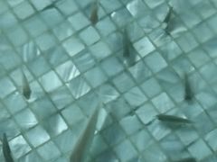 -东方之珠洗浴休闲广场(于家堡店)