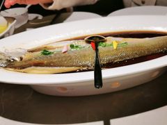 -醉庐·新上海菜(南京西路店)