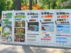 -东湖落雁景区
