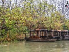 -溱湖国家湿地公园