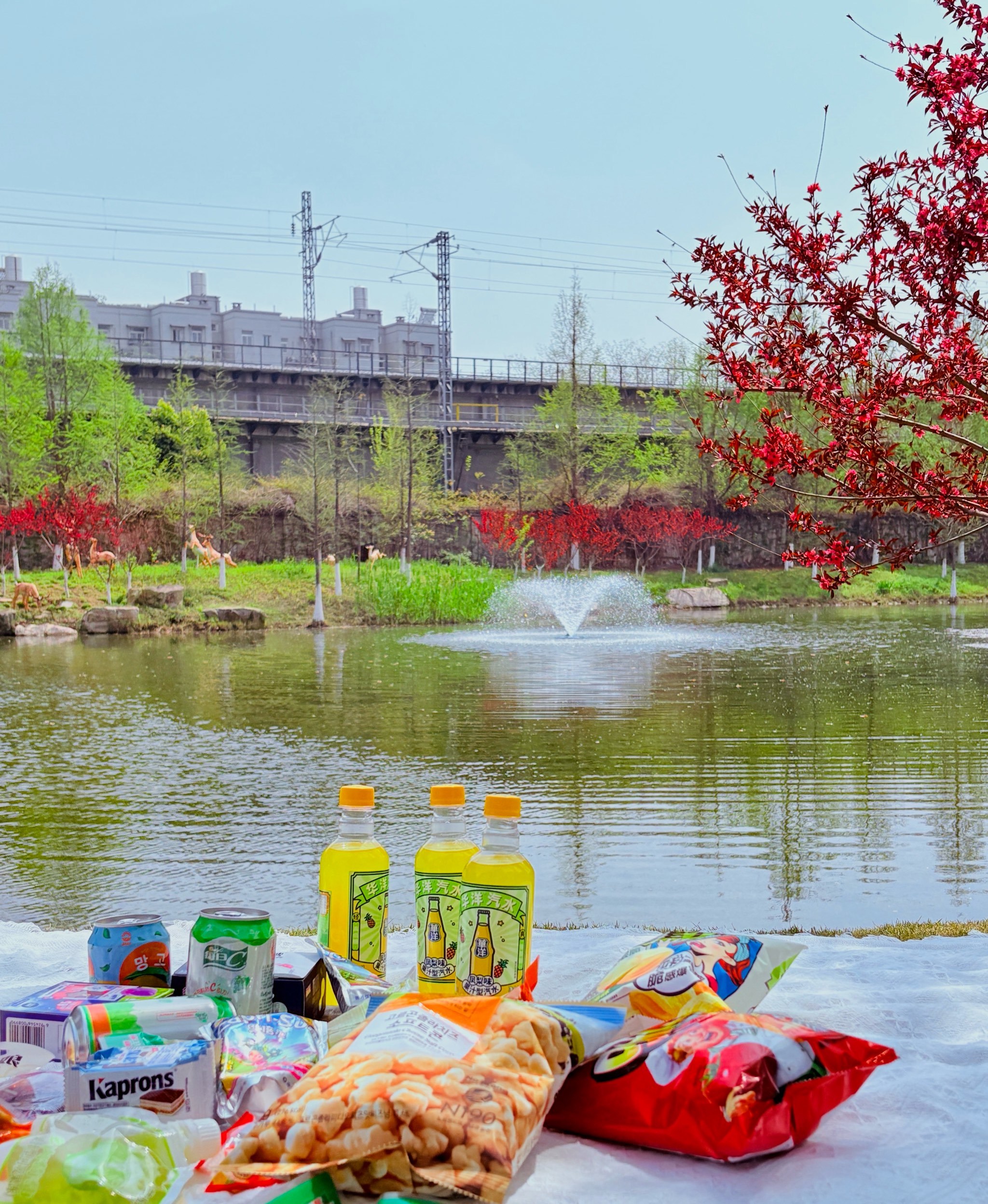 公园风光好武汉免费踏青,露营好去处