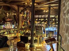 -雪灵魔法世界SHELLY’S TAROT(大良桂畔里店)