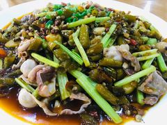 -功夫兔