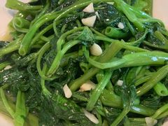 清炒空心菜-三木森时尚餐厅(树达学院店)