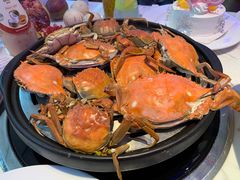 -半岛听涛蒸汽海鲜自助(K11店)