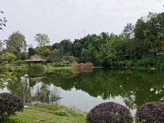 -汤姆大师傅鲜香牛肉饼(深圳保利文化广场店)