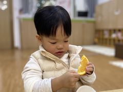 -菲司迪托育园(蛇口店)