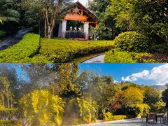 -腾冲洞山温泉村