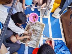 -日照世帆赛基地