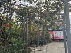 -姥家大锅台水库渔家