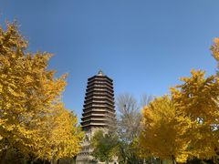 -玲珑塔公园