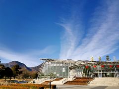 -北京植物园-展览温室