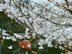 -鸡鸣寺