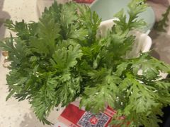 -蜀院鲜火锅(高升桥店)