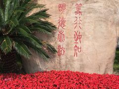 -华东政法大学(松江校区)