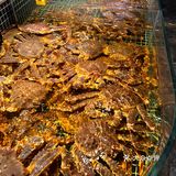 江阴本地 超性价比牛肉海鲜火锅爽吃