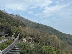-韬光茶庵