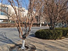 -天津万象城