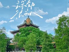 -顺峰山公园