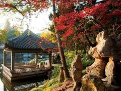 -叶家花园