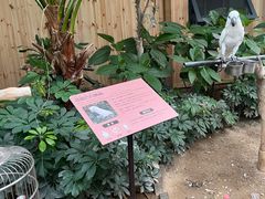 -南宫五洲植物乐园