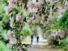 -国家植物园南园