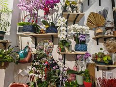 -FEI FEI FLOWER鲜花店·气球派对·宝宝宴布置(虹口德必运动Loft店)
