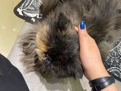 -小时光咖啡馆(开森度假森林店)