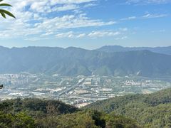 -羚羊峡古栈道森林公园