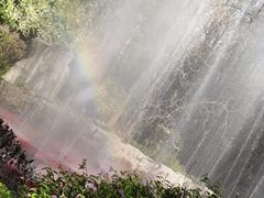 -沈阳植物园