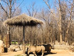 -北京野生动物园