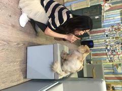 小时光&nbsp;猫语时光咖啡书吧(国贸店)-小时光咖啡馆(开森度假森林店)