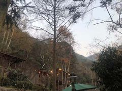 -宁海森林温泉