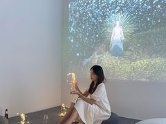 -金茂览秀城