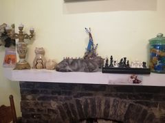-猫色咖啡·猫咖