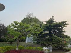 -普兰达德国餐厅·德式脆皮烤猪肘·自酿啤酒(观唐店)