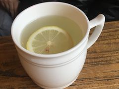 -吉丁鸟咖·异宠·寄养