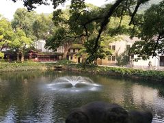 -法雨寺餐厅