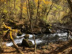 -叠溪松坪沟景区