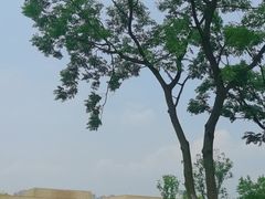 -盘龙城国家考古遗址公园