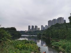 -重庆彩云湖湿地公园