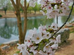 -马家湾湿地公园